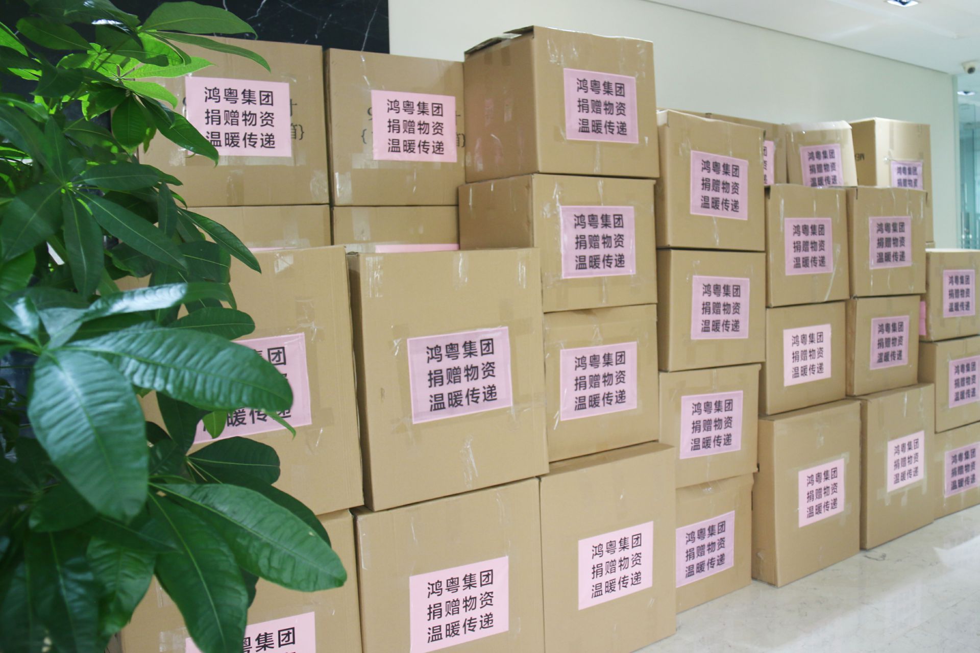 开云·官方版在线入口-开云(中国)公益回顾丨家国同欢月同圆 温暖满载甘孜州(图1)